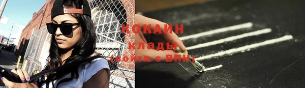 прущая мука Новодвинск