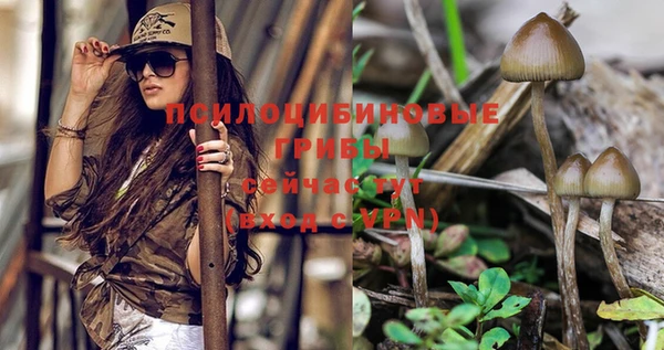 прущая мука Новодвинск