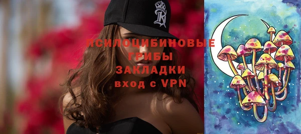 стаф Нея