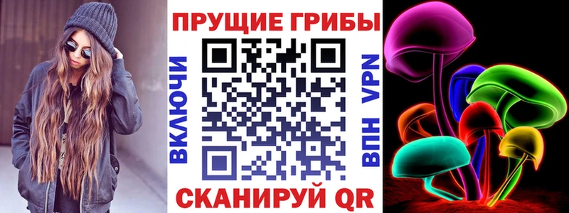 Галлюциногенные грибы MAGIC MUSHROOMS  купить закладку  mega ССЫЛКА  Бирюч 