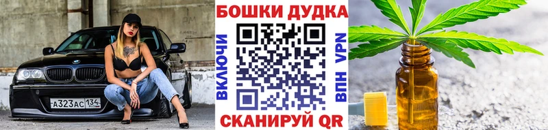 Бошки Шишки конопля как найти наркотики Бирюч
